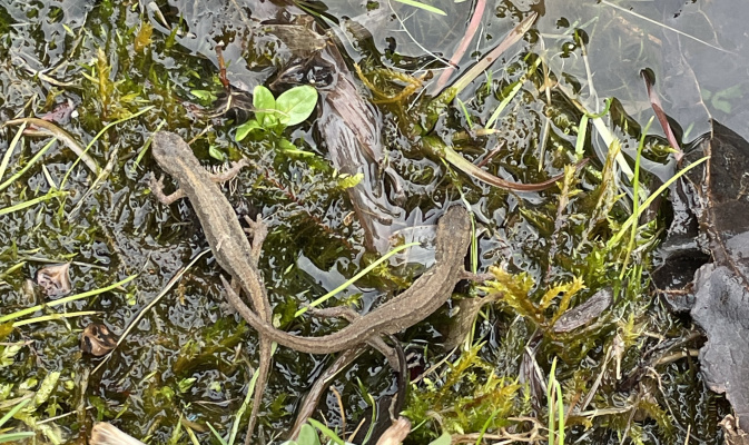 ...ah, hier! – Foto: Lotte Wilking