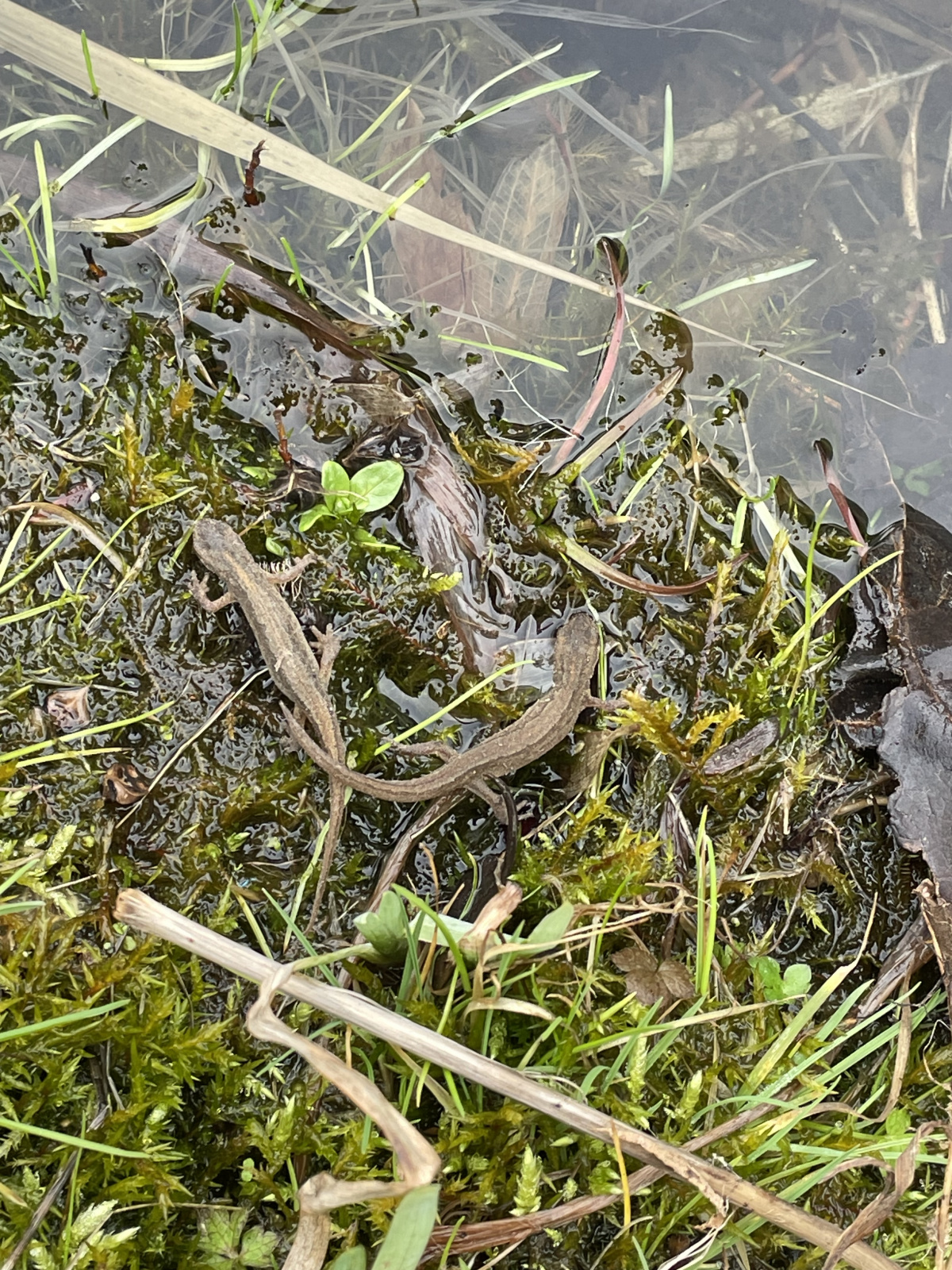 ...ah, hier! – Foto: Lotte Wilking