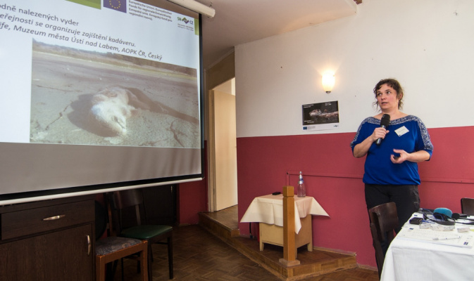 – Foto: B. Künzelmann