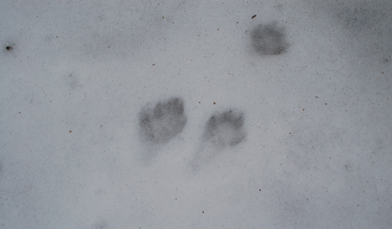 Foto: Berit Künzelmann