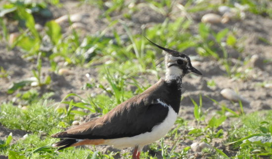 Foto: Madlen Schimkat