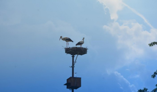 Foto: Christian Göhler