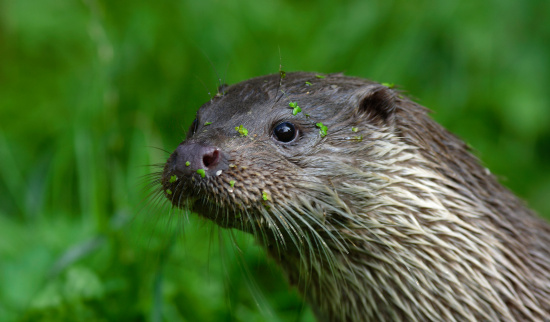 Foto: Ondřej Prosický