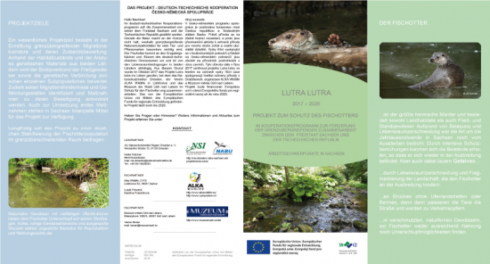 Grafik: Berit Künzelmann