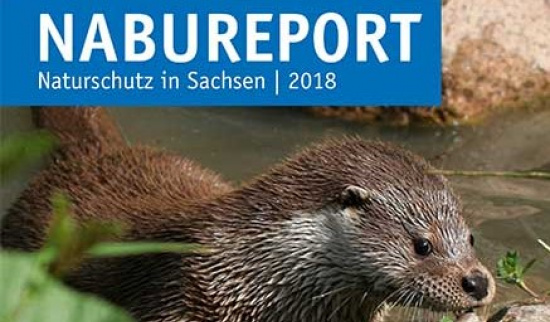 Abb. ohne Autor: NABU